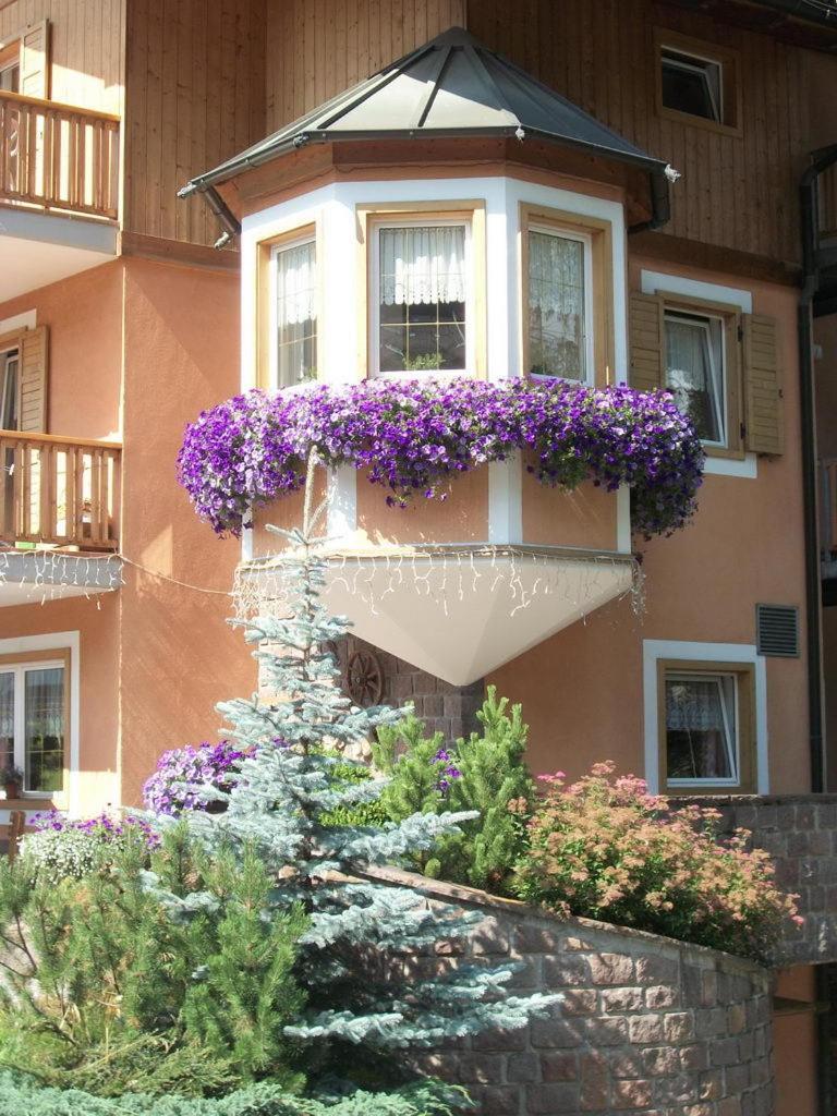 מואנה Hotel Vallechiara מראה חיצוני תמונה